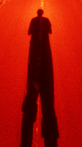 A photo of a shadow on pavement.