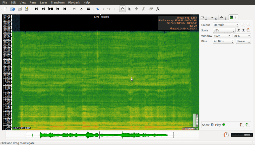 A screenshot displaying the spectrogram of an audio recording in sonic visualizer.