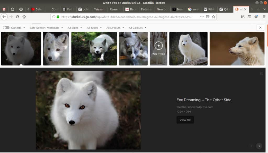 An image selected of an white fox.