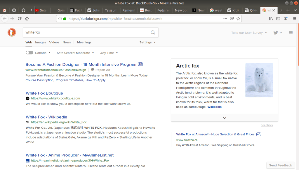 New tab open after searching white fox with duckduckgo.