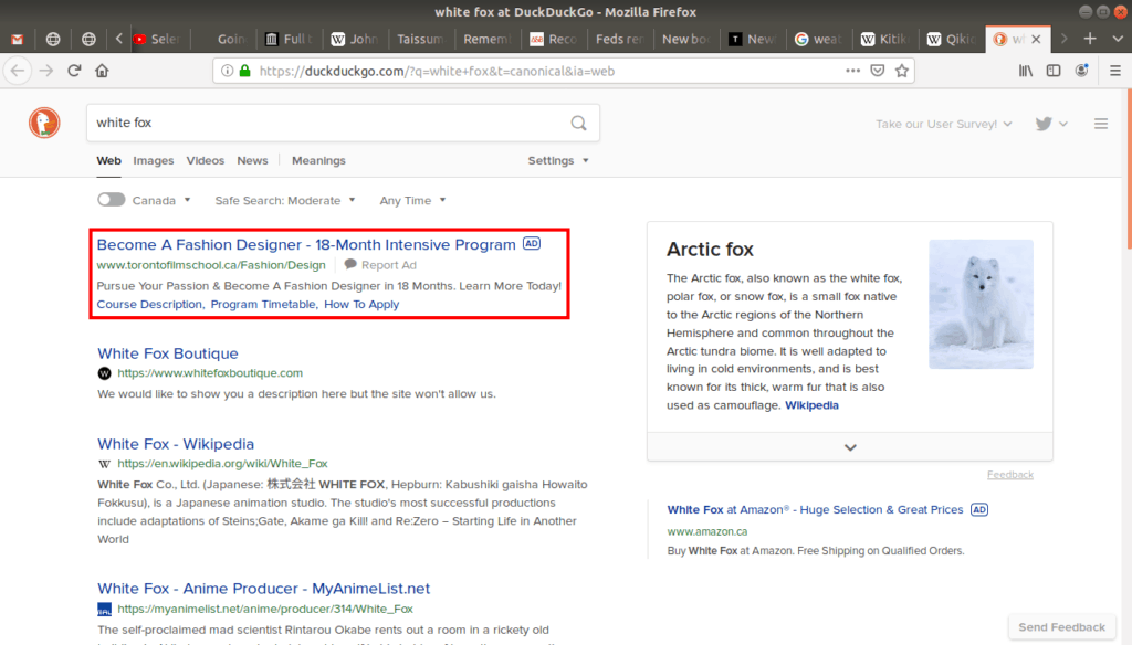 Advertising showing unrelated result on DuckDuckGo, search engine.