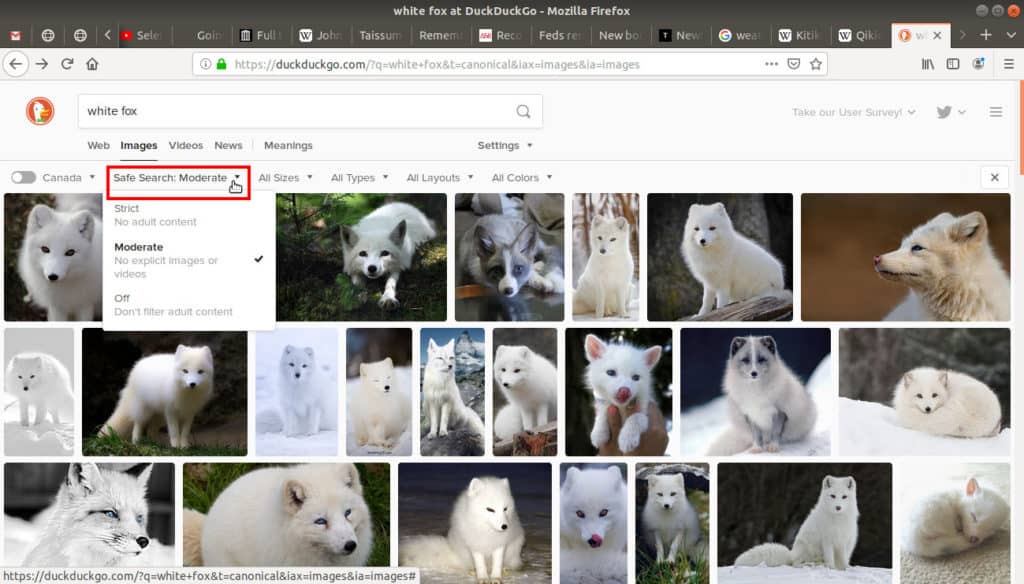 Safe search tab open on duckduckgo.