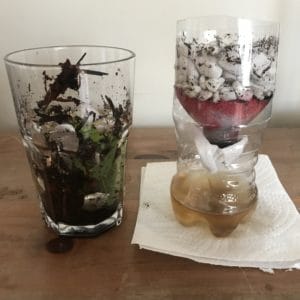 Create a Water Filter from Recycled and Natural Materials - Pinnguaq