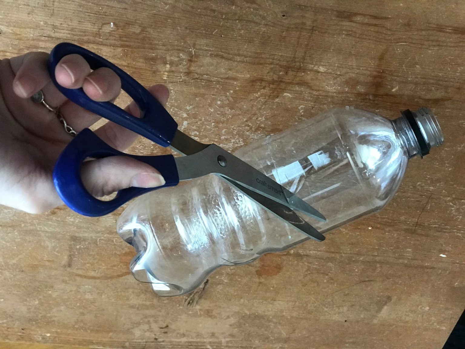 Create a Water Filter from Recycled and Natural Materials Pinnguaq