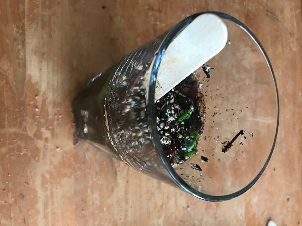 Dirty water, made up of soil and grass, being stirred inside a glass with a wooden stick.