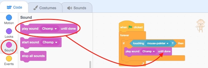 The play sound block is circled and has an arrow pointed towards the script area.