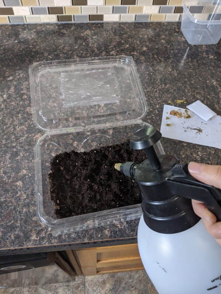 Mini greenhouse being watered.