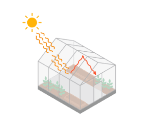 Greenhouse.