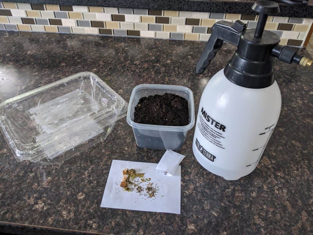 Everything needed for this project. Tobacco seeds, Transparent, re-used plastic container with a lid (e.g. lettuce container), Potting soil, Mist/spray bottle for water.