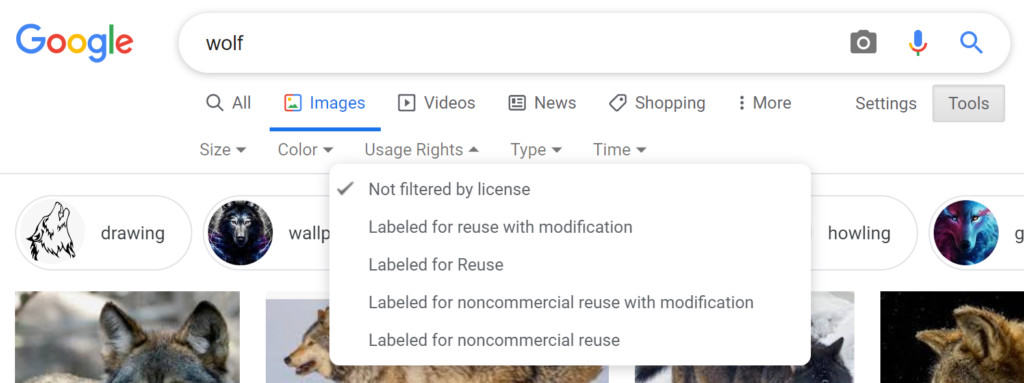 A sample Google search.