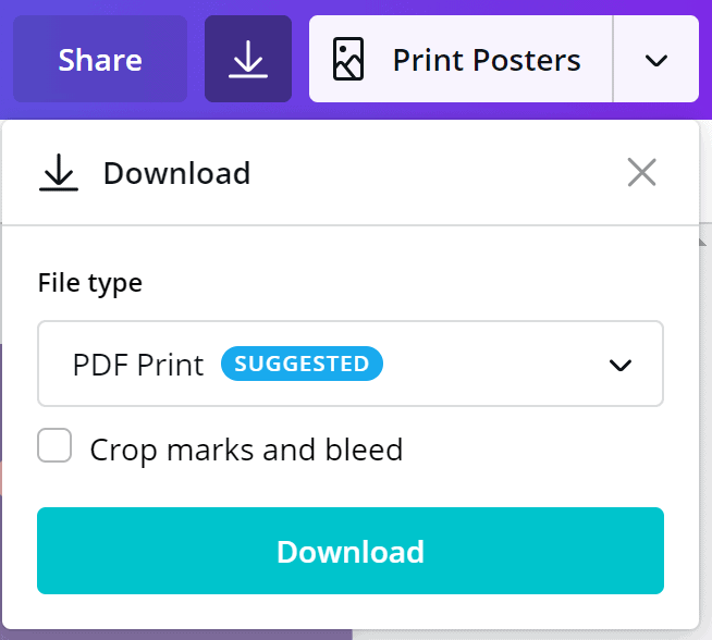 Text formatting options in Canva.