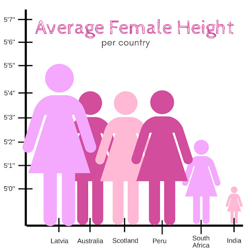 Average Height For A Female