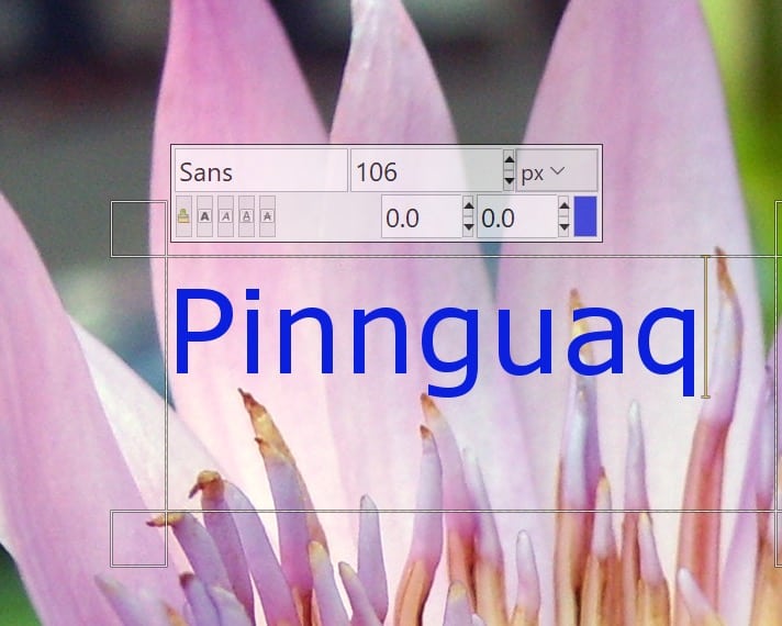 Text being entered over an image with tools surrounding the text that allows user to make the text box smaller or larger or drag it on the canvas along with options change the font size, font-family, and colour.