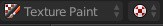 The texture paint label in Blender.