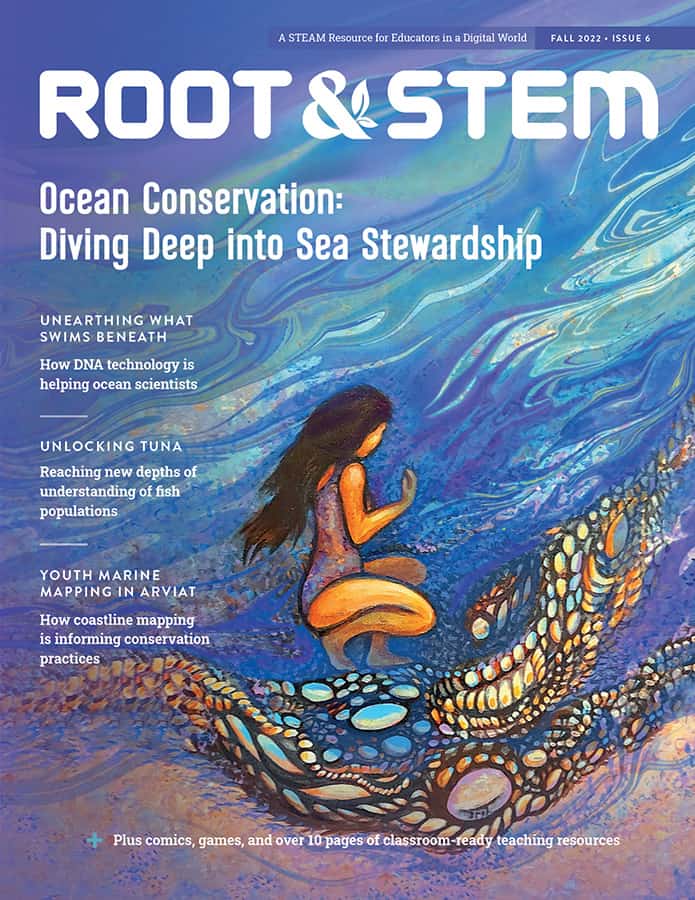 Root & STEM: Issue 6
