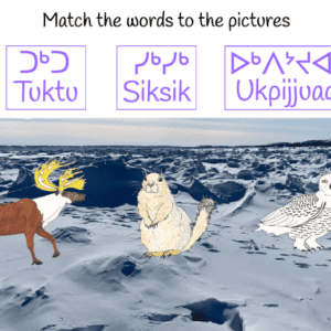 Inuktitut Digital Literacy Game Engine star screen.